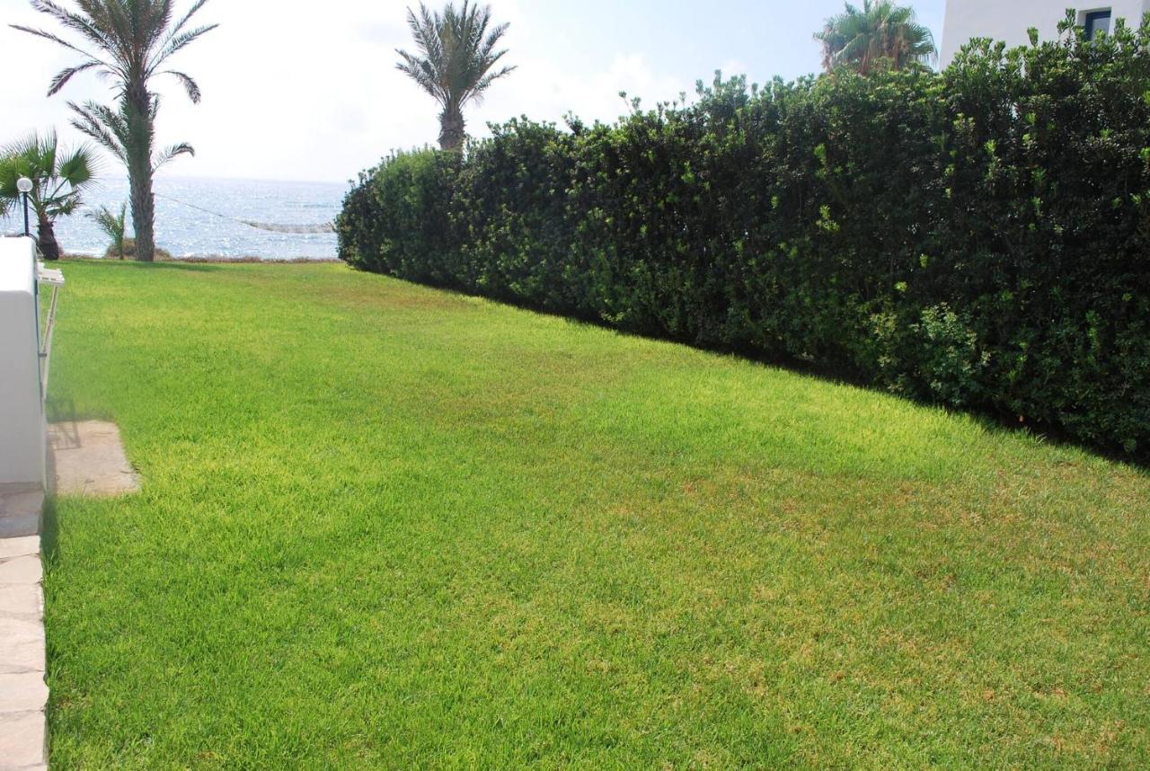 Sea Front Villa, Heated Private Pool, Amazing Location Paphos 323 كيسونيجرا المظهر الخارجي الصورة