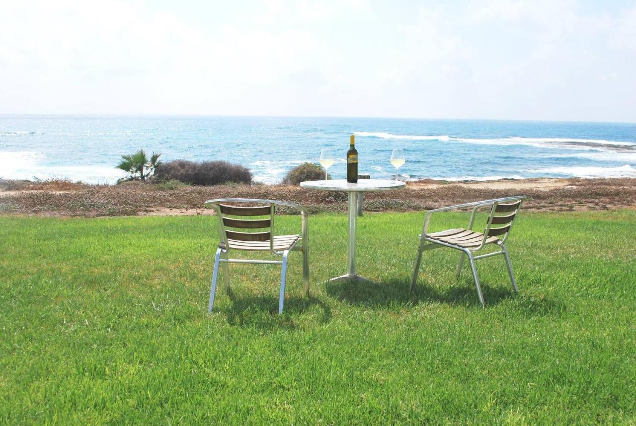 Sea Front Villa, Heated Private Pool, Amazing Location Paphos 323 كيسونيجرا المظهر الخارجي الصورة